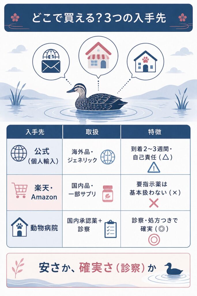 公式・楽天・動物病院の入手先を比較した図解